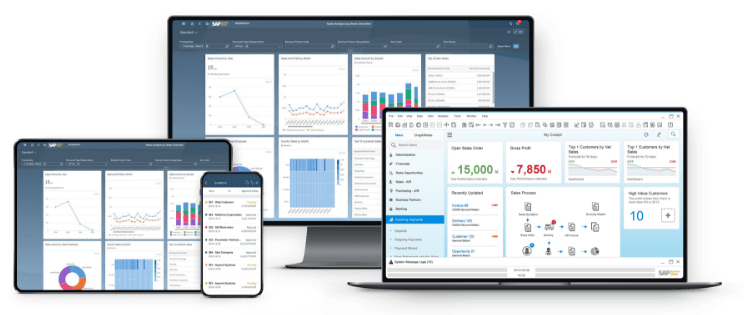 Mockup-ERP-SAP Business Solution on HANA Cloud Database