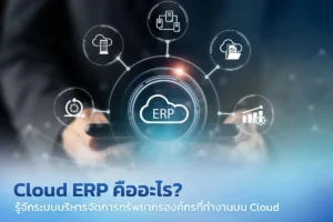 Cloud ERP